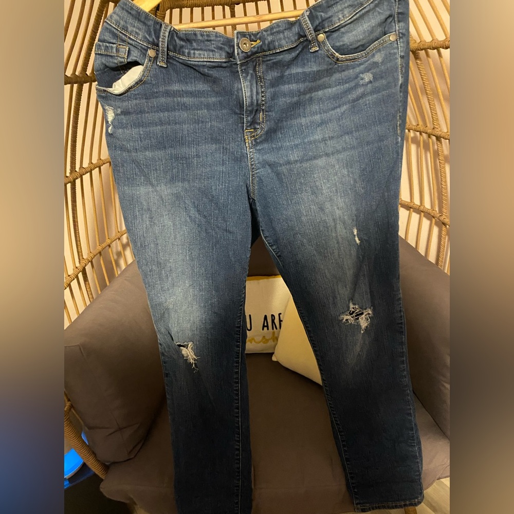Torrid Jeans